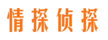 月湖侦探公司